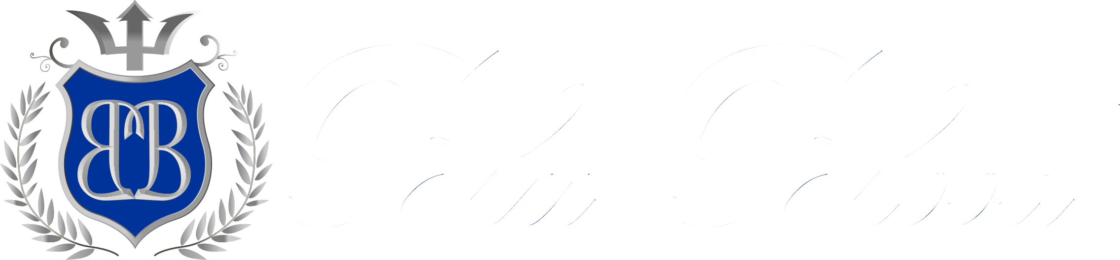 Blu Blood Tickets